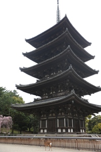 nao54